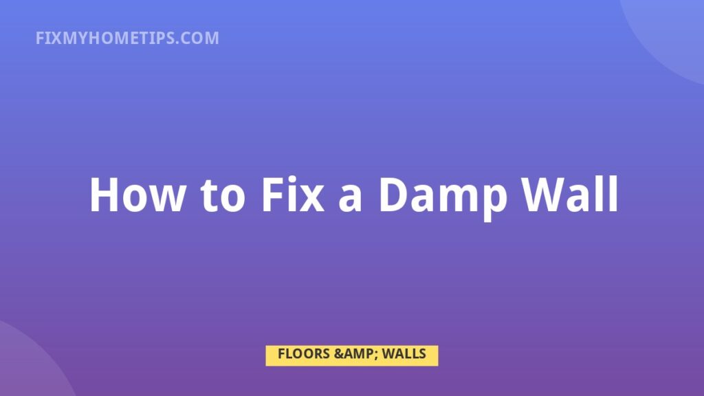 Damp wall repair checking moisture mold leaks and damaged plaster