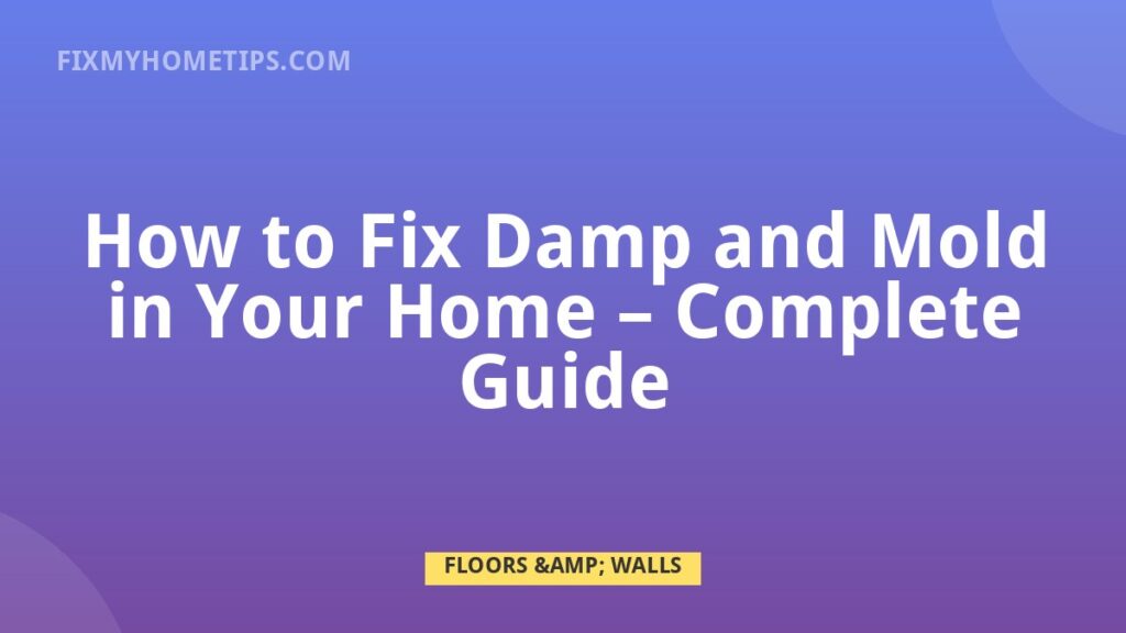 How to Fix Damp and Mold in Your Home complete guide home repair guide image