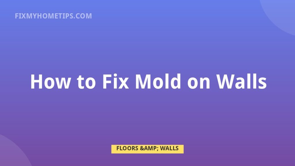 How to Fix Mold on Walls DIY home repair guide image